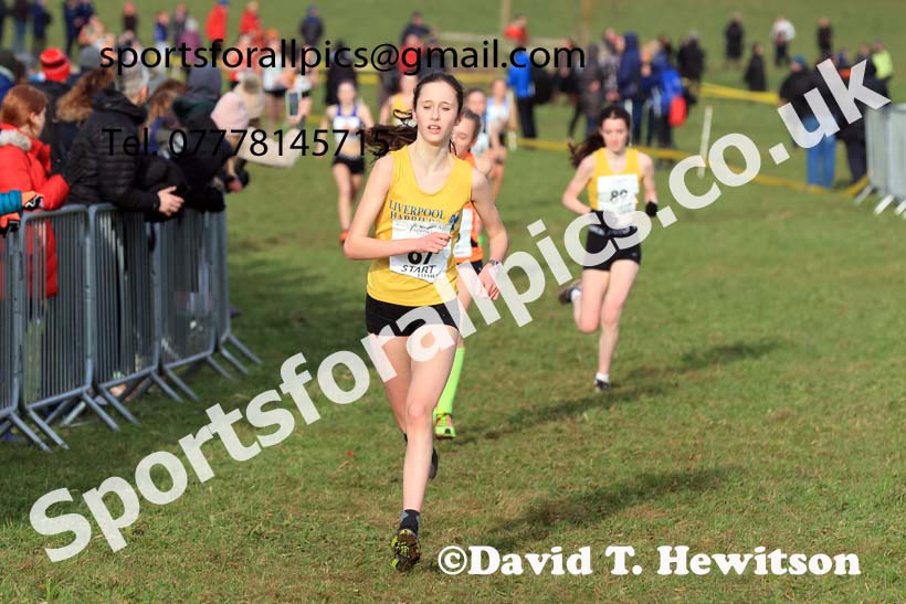 Girls Under-15s 2024 Northern Cross Country Champs., Sedgefield. Photo: David T. Hewitson/Sports for All Pics